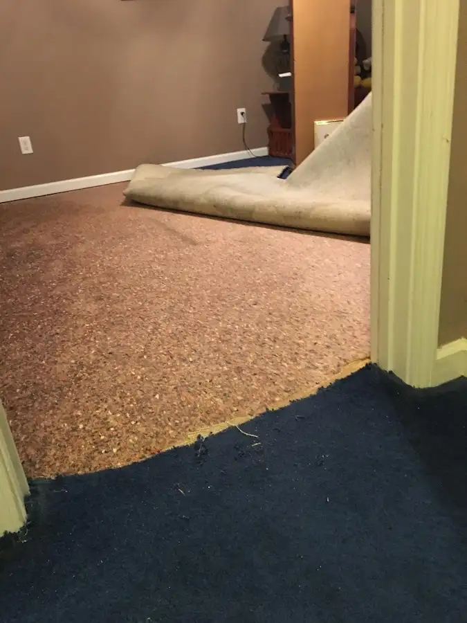 Carpet pad removal revealing water damage during Water Mitigation Services in Stratford