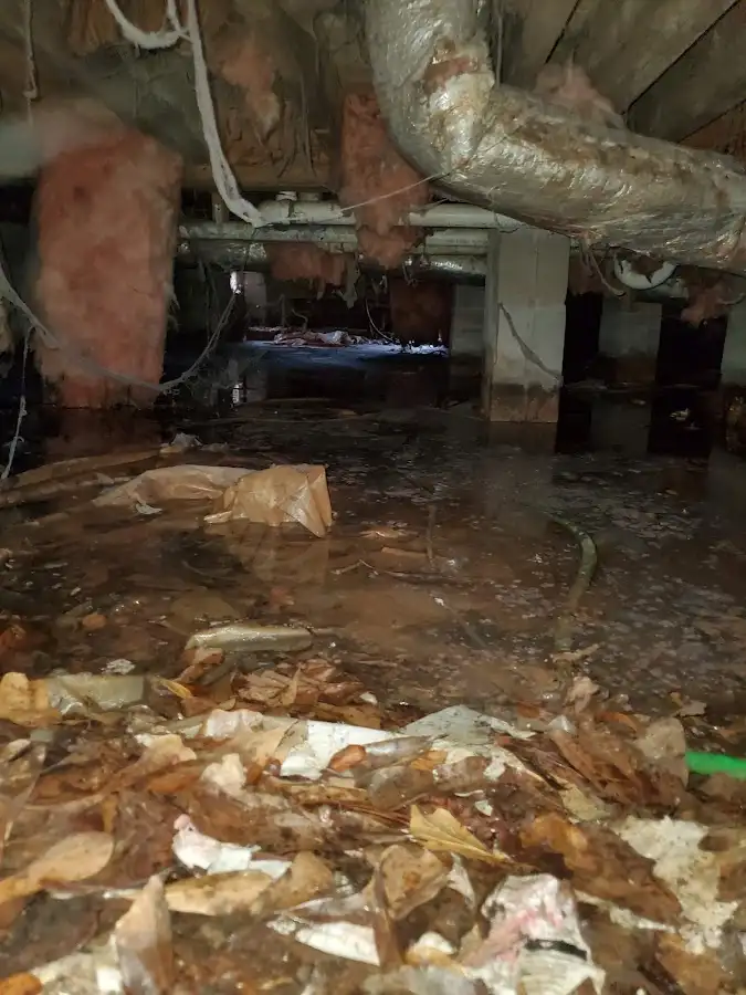 Crawl space flood assessment for Commercial Water Damage Restoration in Stratford