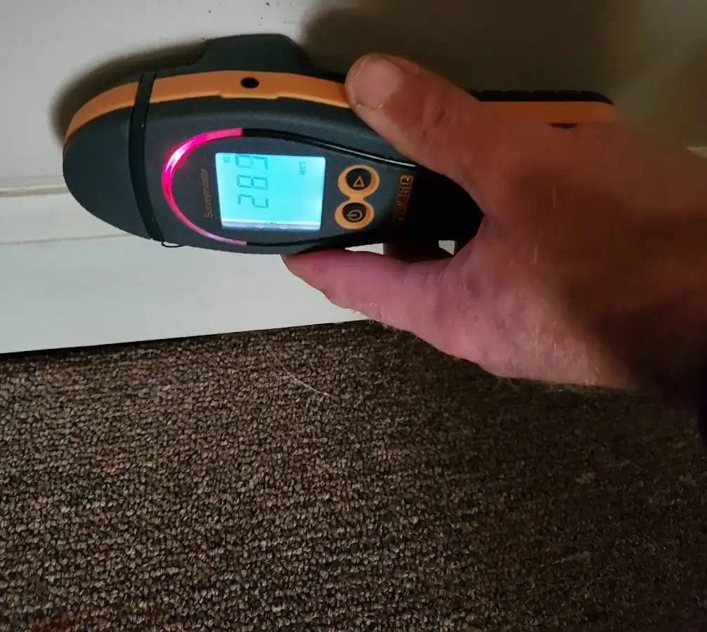 Moisture detection at baseboard during Mold Inspection & Testing in Stratford